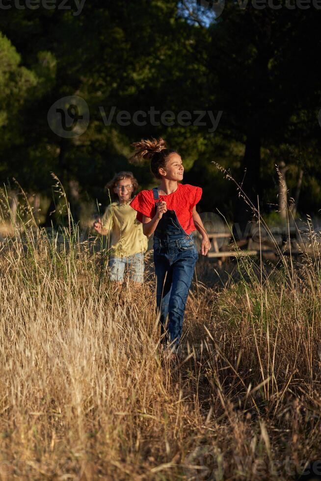 Sister and brother walking in grassy meadow photo