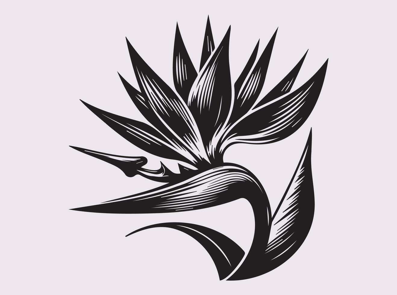 Graceful Black Silhouette of Bird of Paradise Flower for Artistic Designs vector