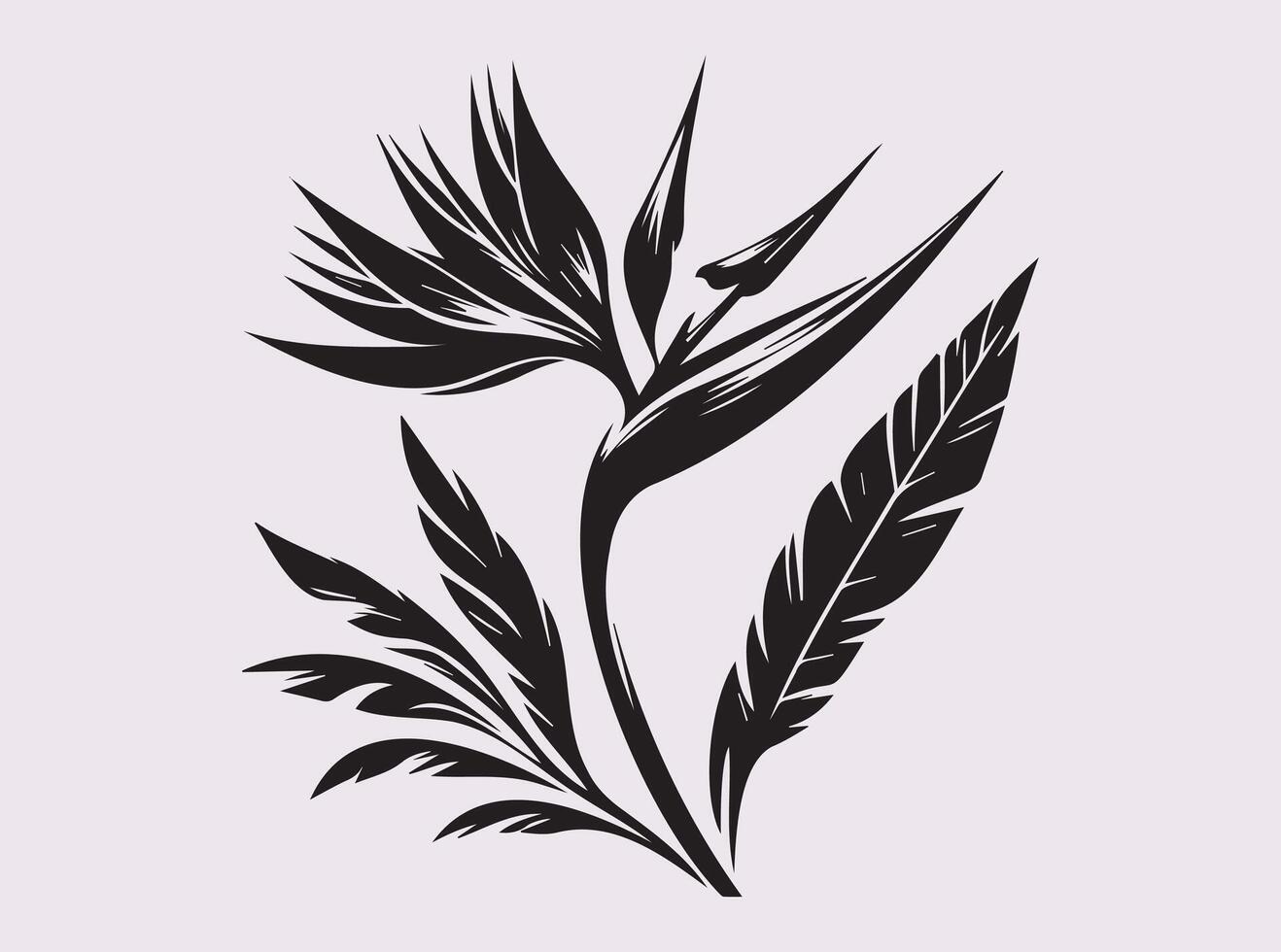 Black Silhouette of Bird of Paradise Flower for Tropical Art Lovers vector