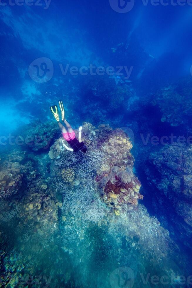 Anonymous diver exploring coral reef in ocean photo