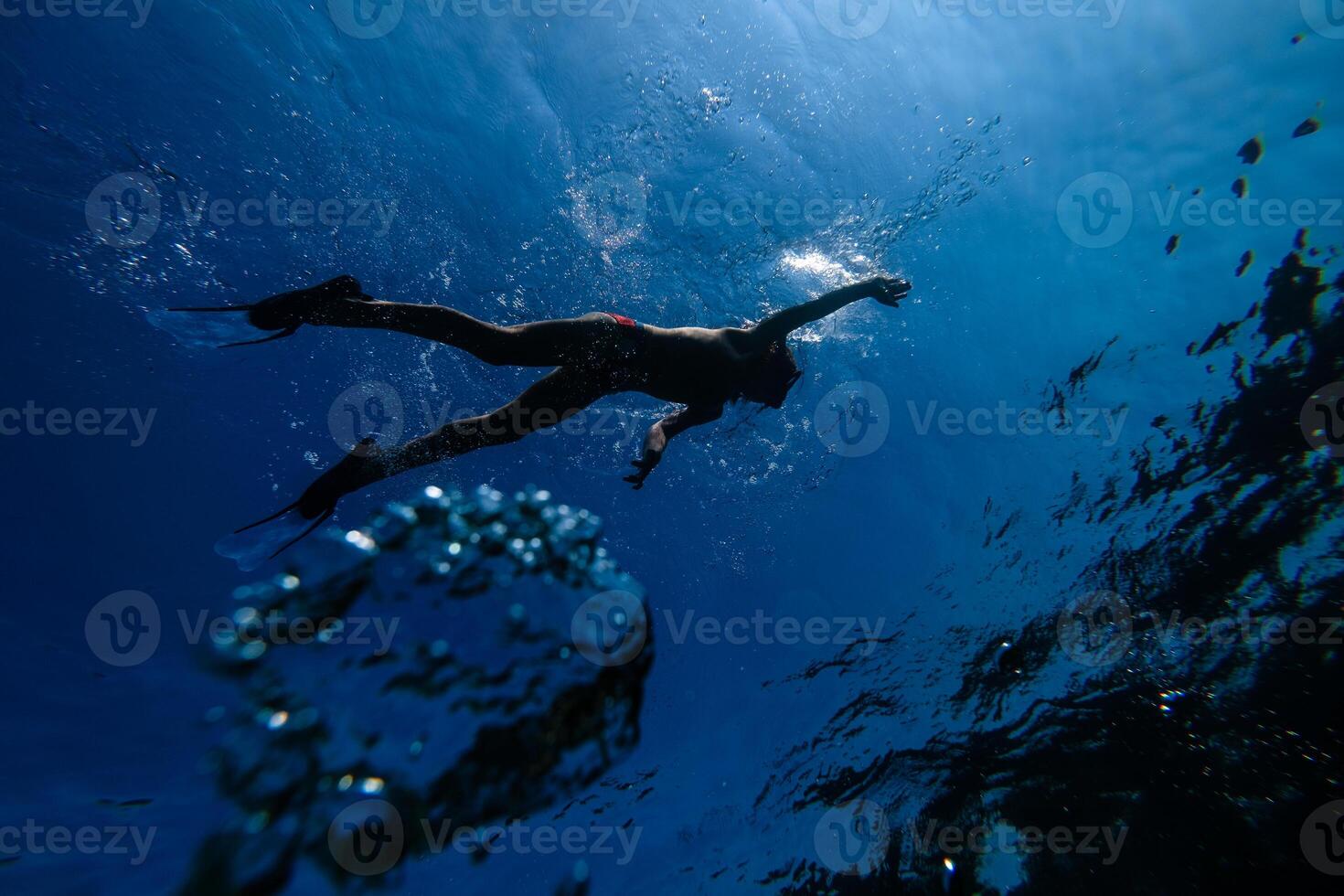 Anonymous male swimmer in diving mask and fins floating underwat photo