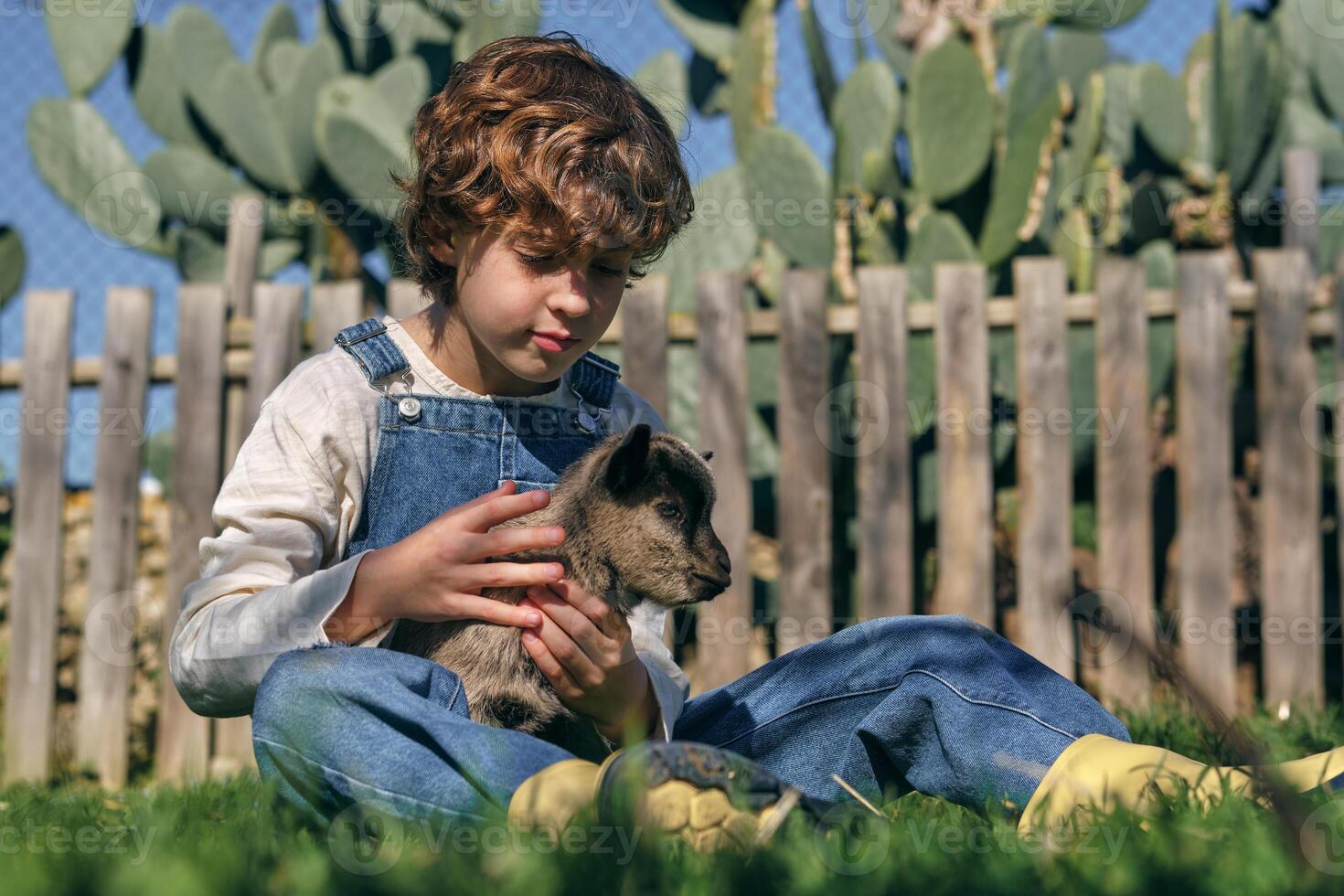 Calm kid stroking dwarf goat on lawn in village photo