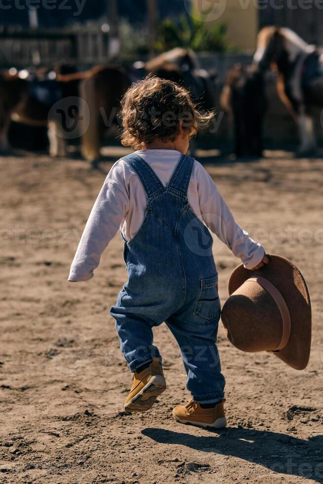 Unrecognizable cute child walking in paddock in sunlight photo