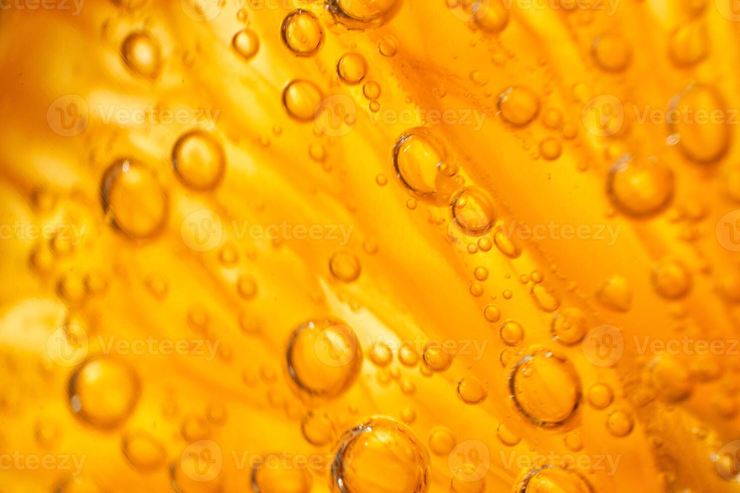 Orange in gin and tonic photo