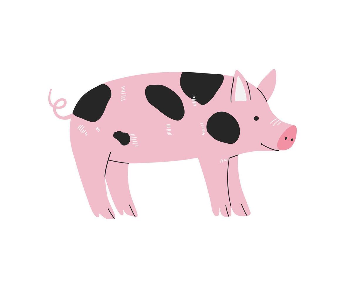 A cartoon-style illustration of a pink pig with black patches. Cute hand-drawn farm animal. vector