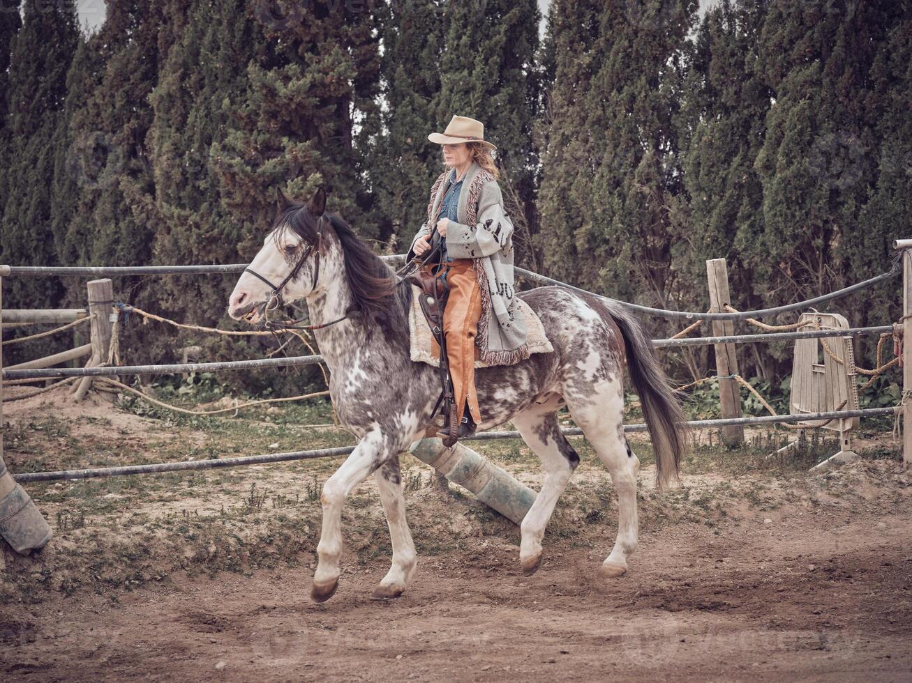 Adult woman riding horse on paddock near the forest photo