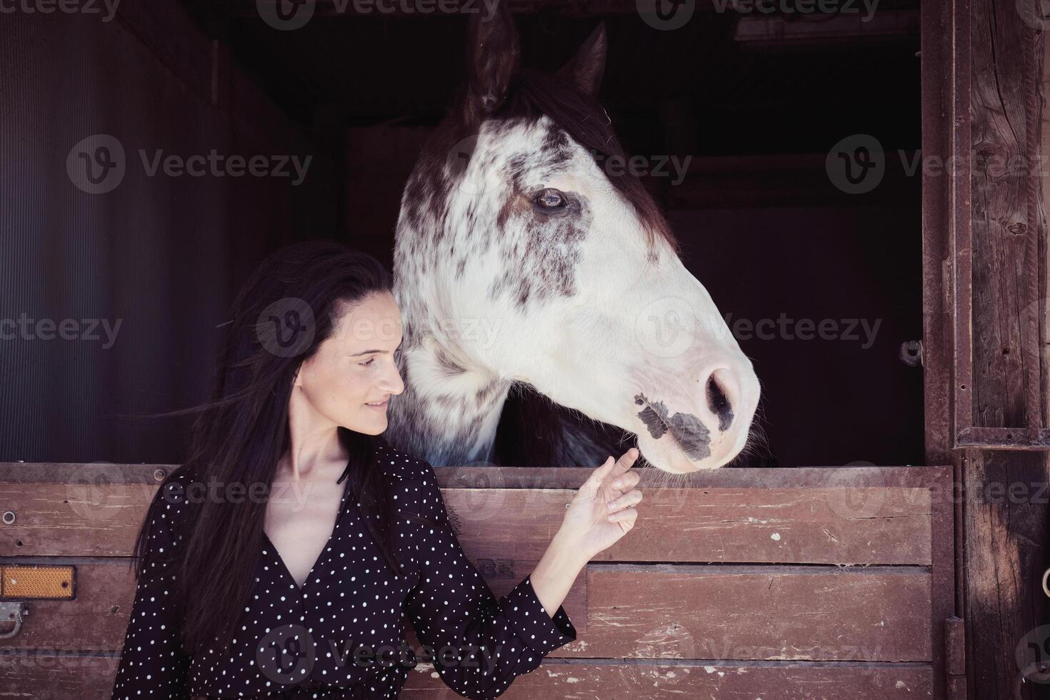 Woman touching muzzle of horse photo