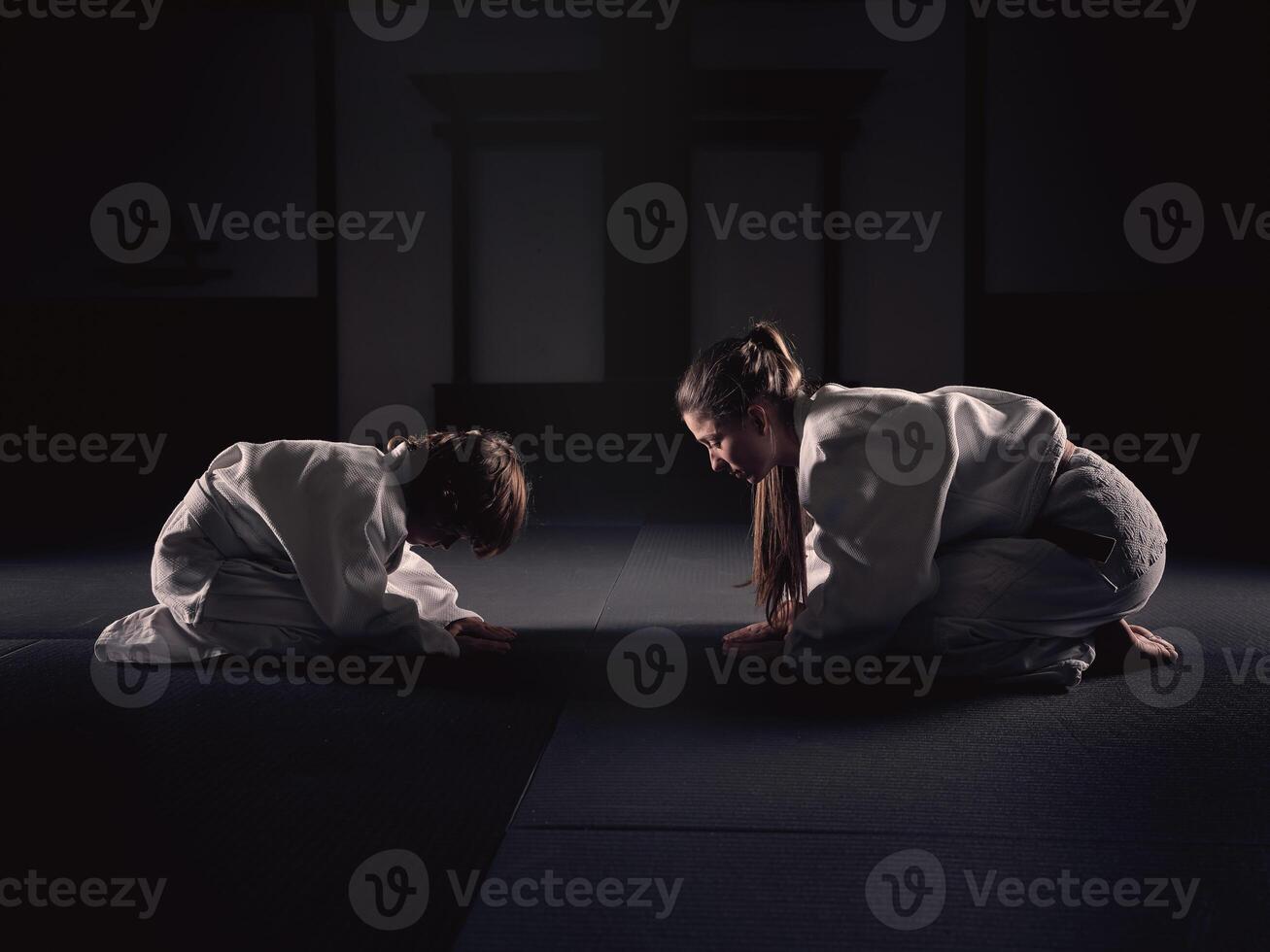 Krav Maga trainer and disciple bowing together photo