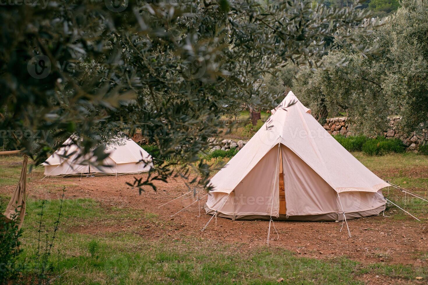 Tent fixed on ground in campsite in countryside photo