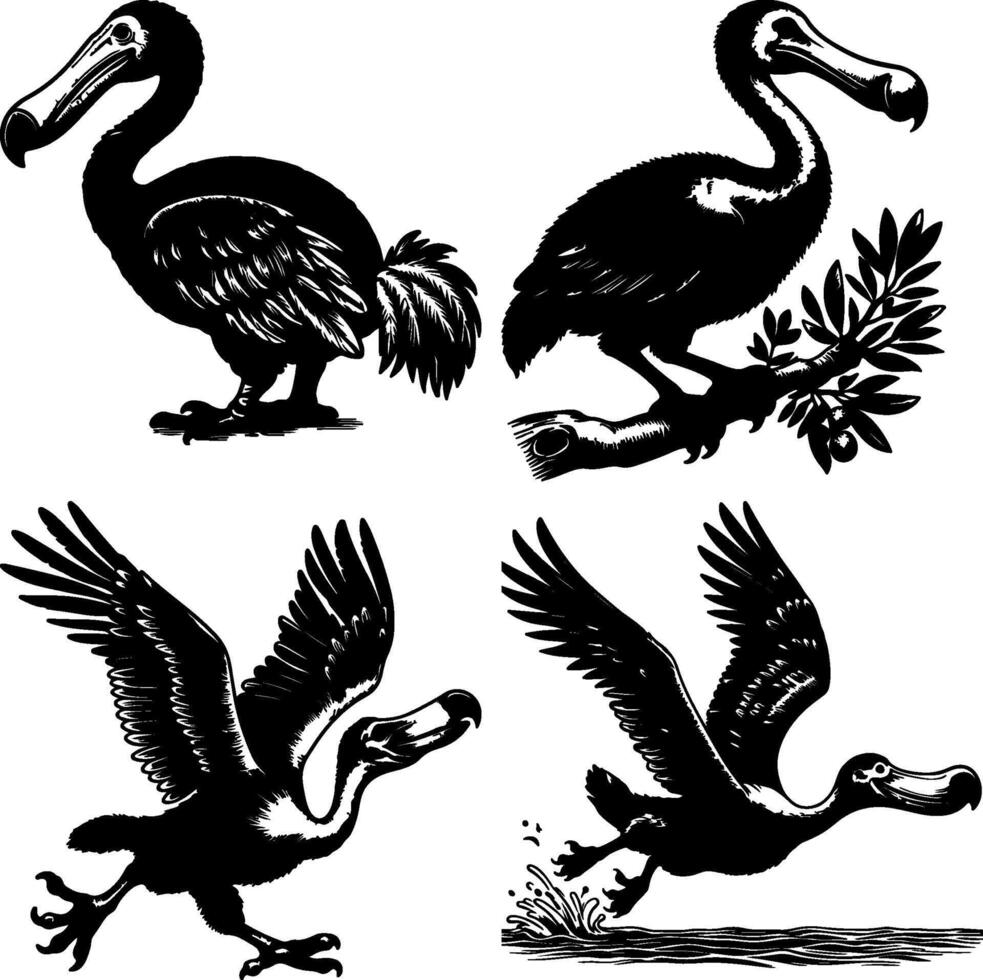 a set of Dodo Bird Silhouette Illustrations in Various Poses vector