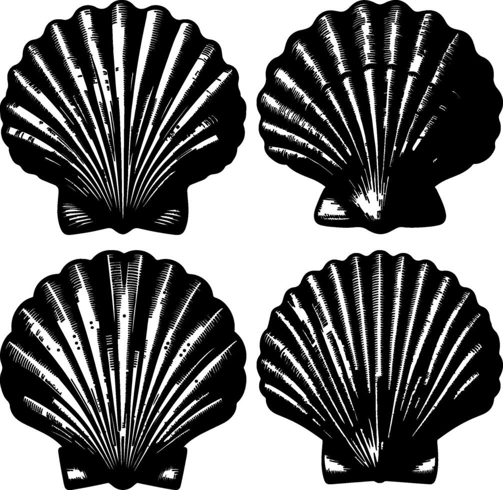 Set of Four Black and White Scallop Shells Illustration for Design Projects vector