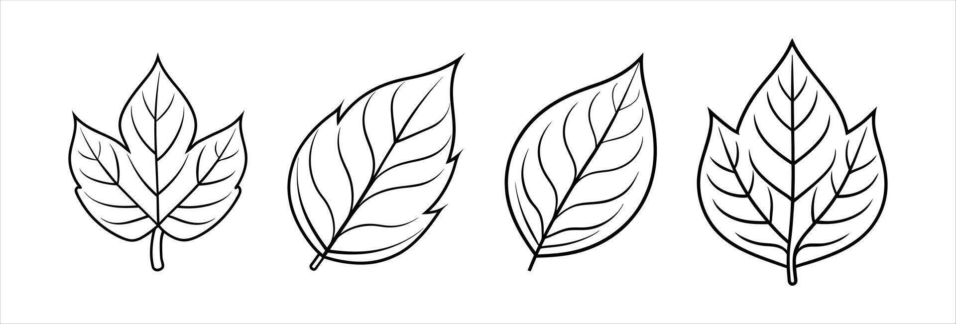 Set of simple leaf silhouettes on a clean white background. vector