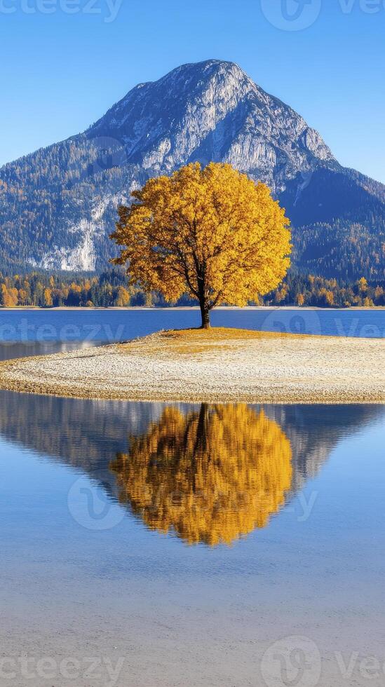 Autumn Tree Reflection in Calm Lake with Mountain photo