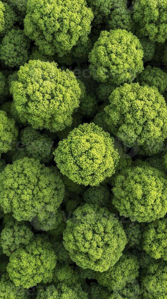 Vibrant Green Spherical Texture Background photo