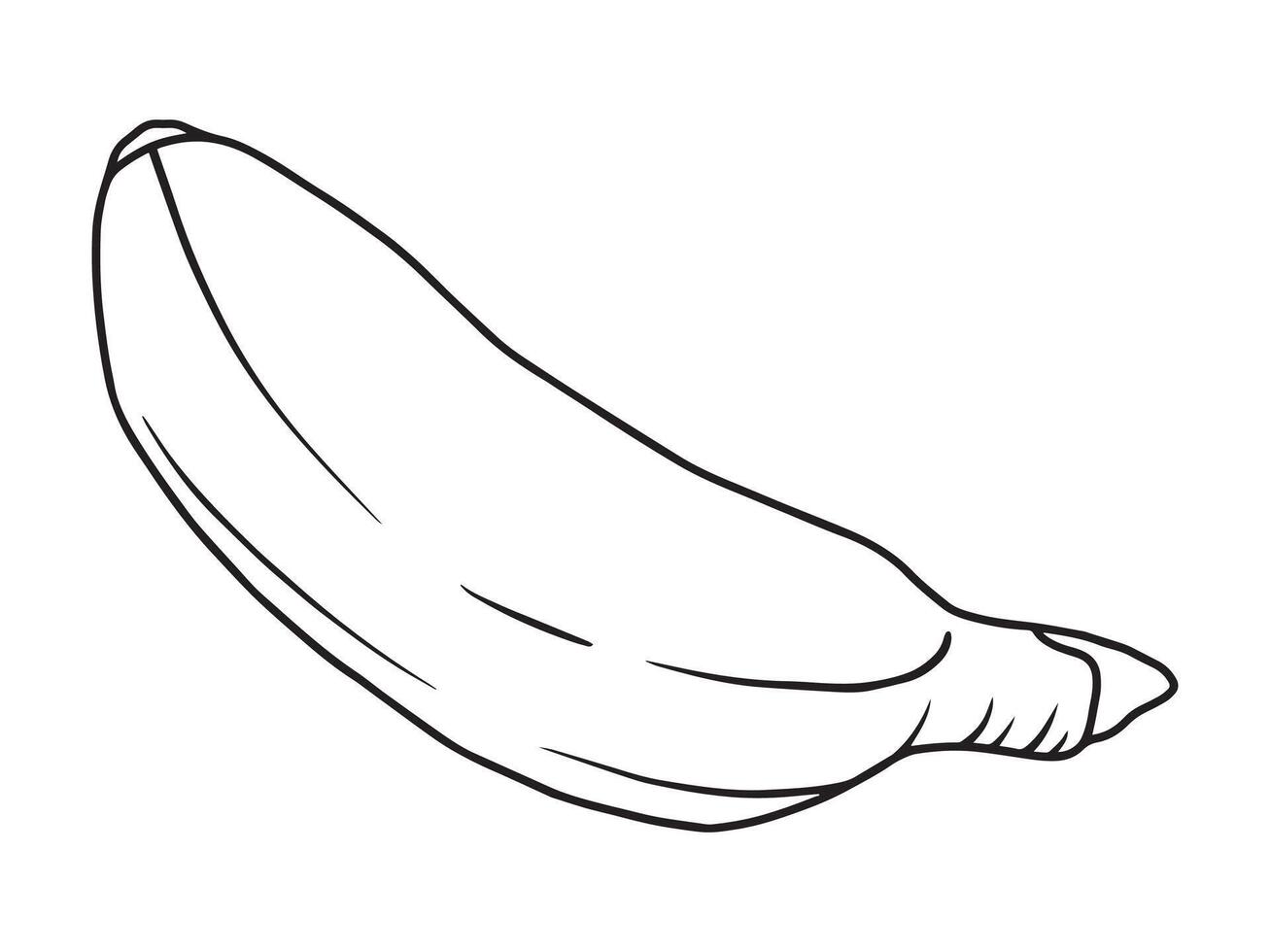 Banana Fruit Line Art vector