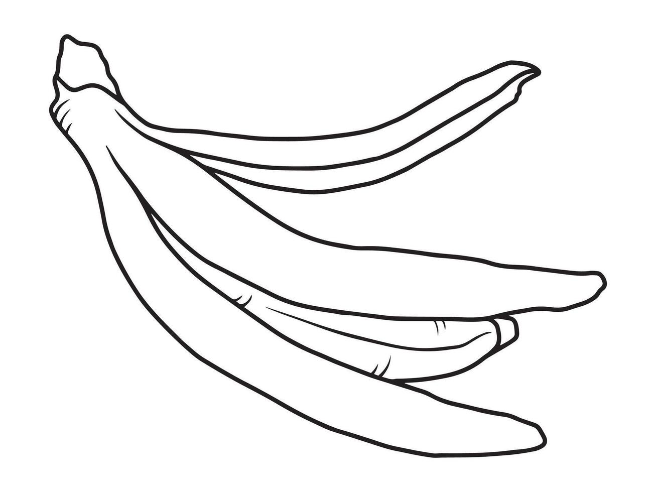 Hand Drawn Banana Fruit line art vector