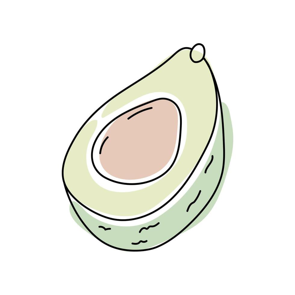 Freshly sliced avocado showing creamy texture and smooth inner flesh in a vibrant illustration vector