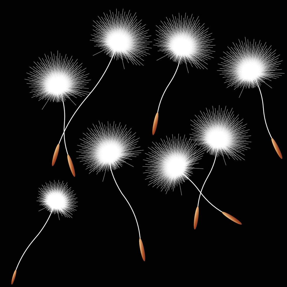 This elegant digital illustration captures the delicate beauty of dandelion seeds floating gracefully through the air against a deep black background. vector