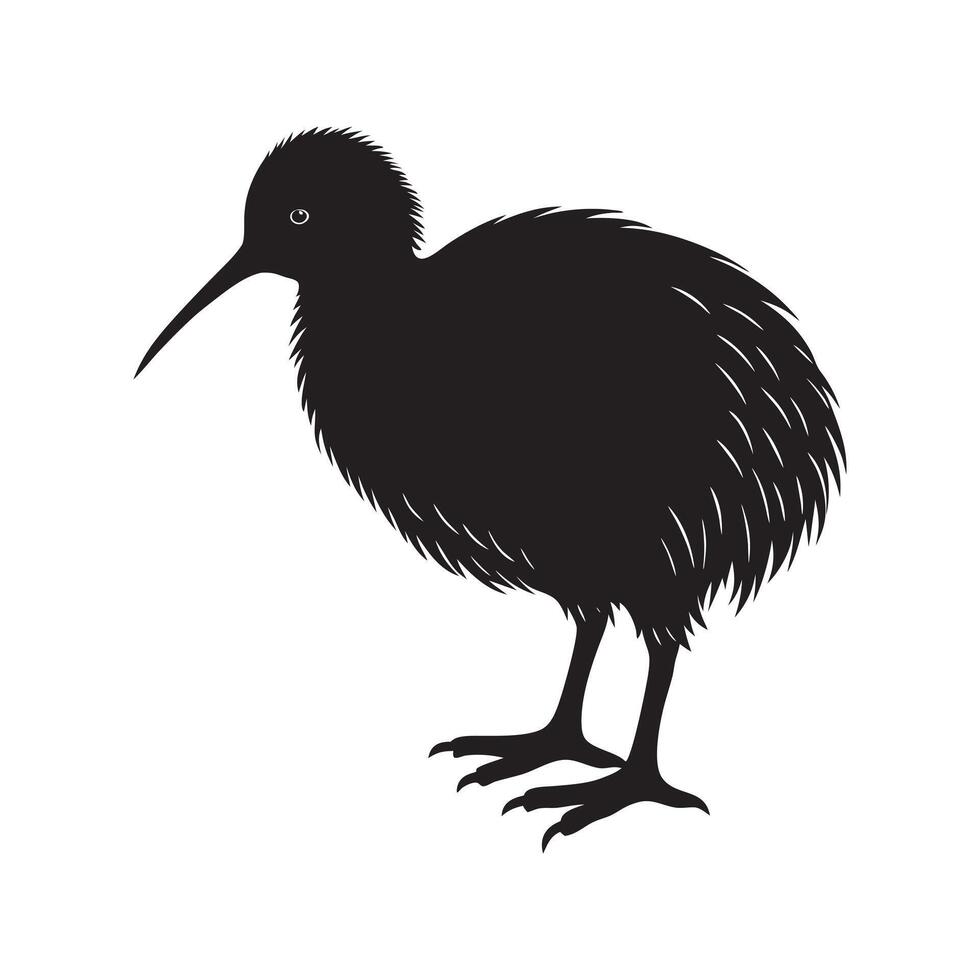 Kiwi bird silhouette design for New Zealand wildlife logo and animal art vector