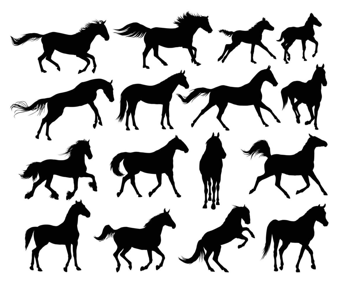 The set of horses silhouettes. vector