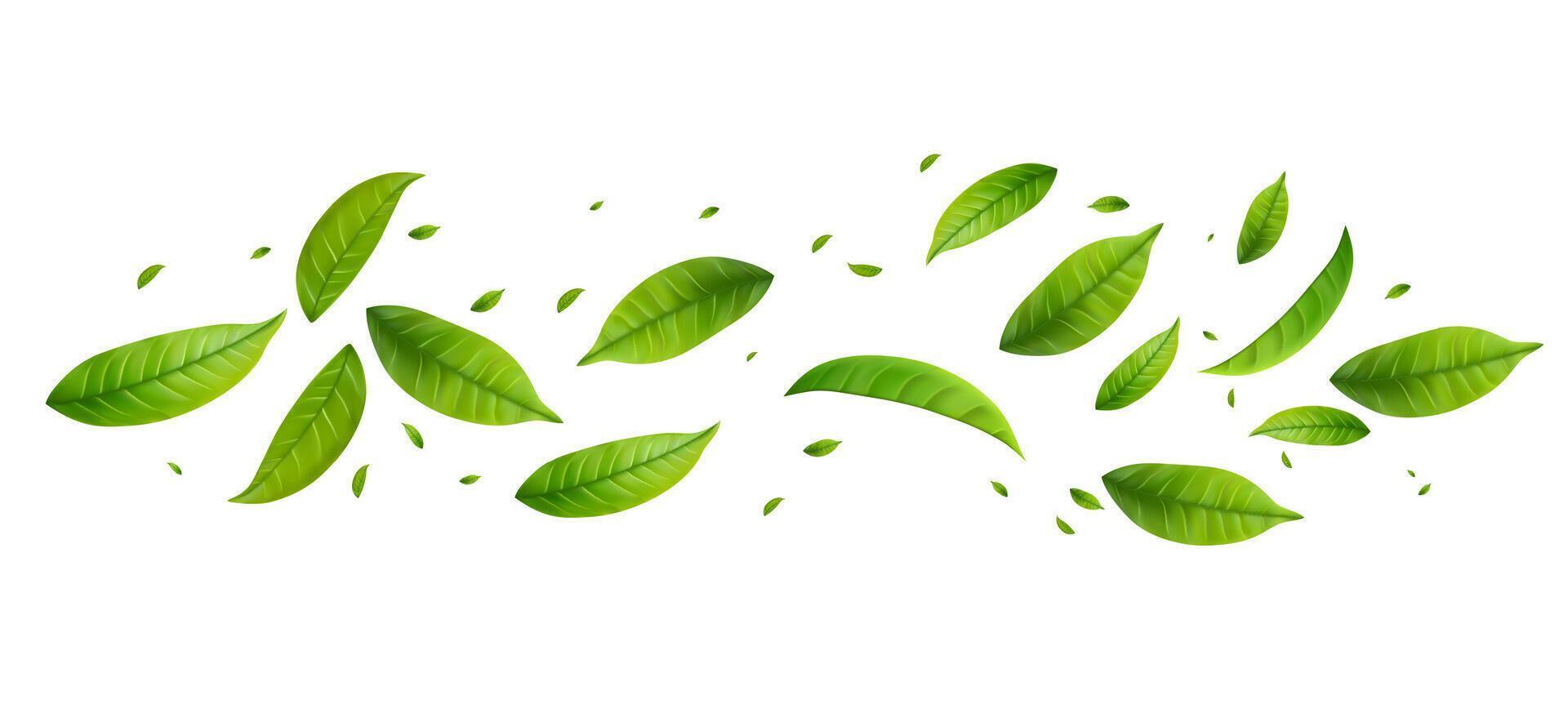 Green Floating Leaves vector