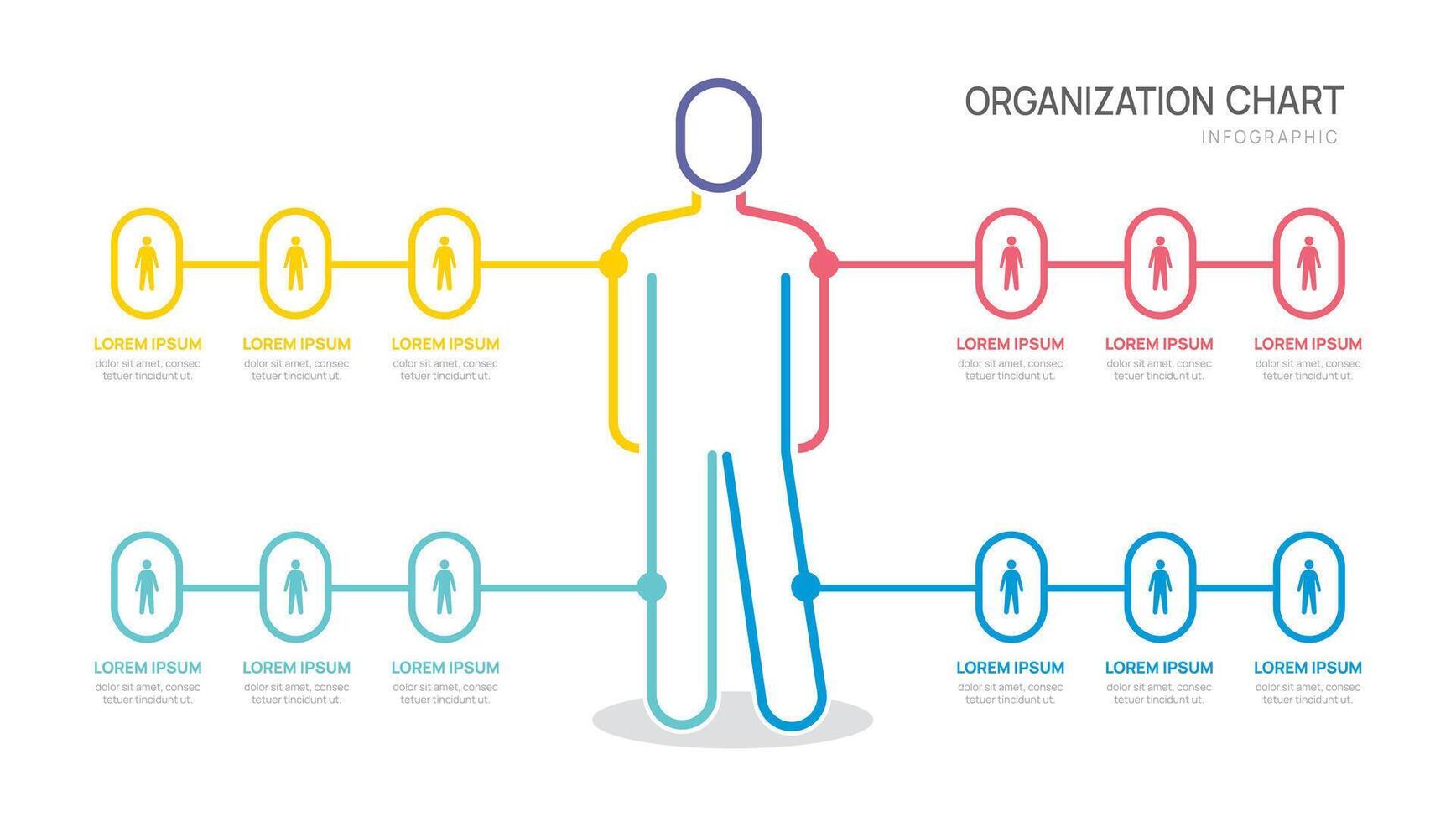 organization chart Infographic template with business avatar icon illustration. vector