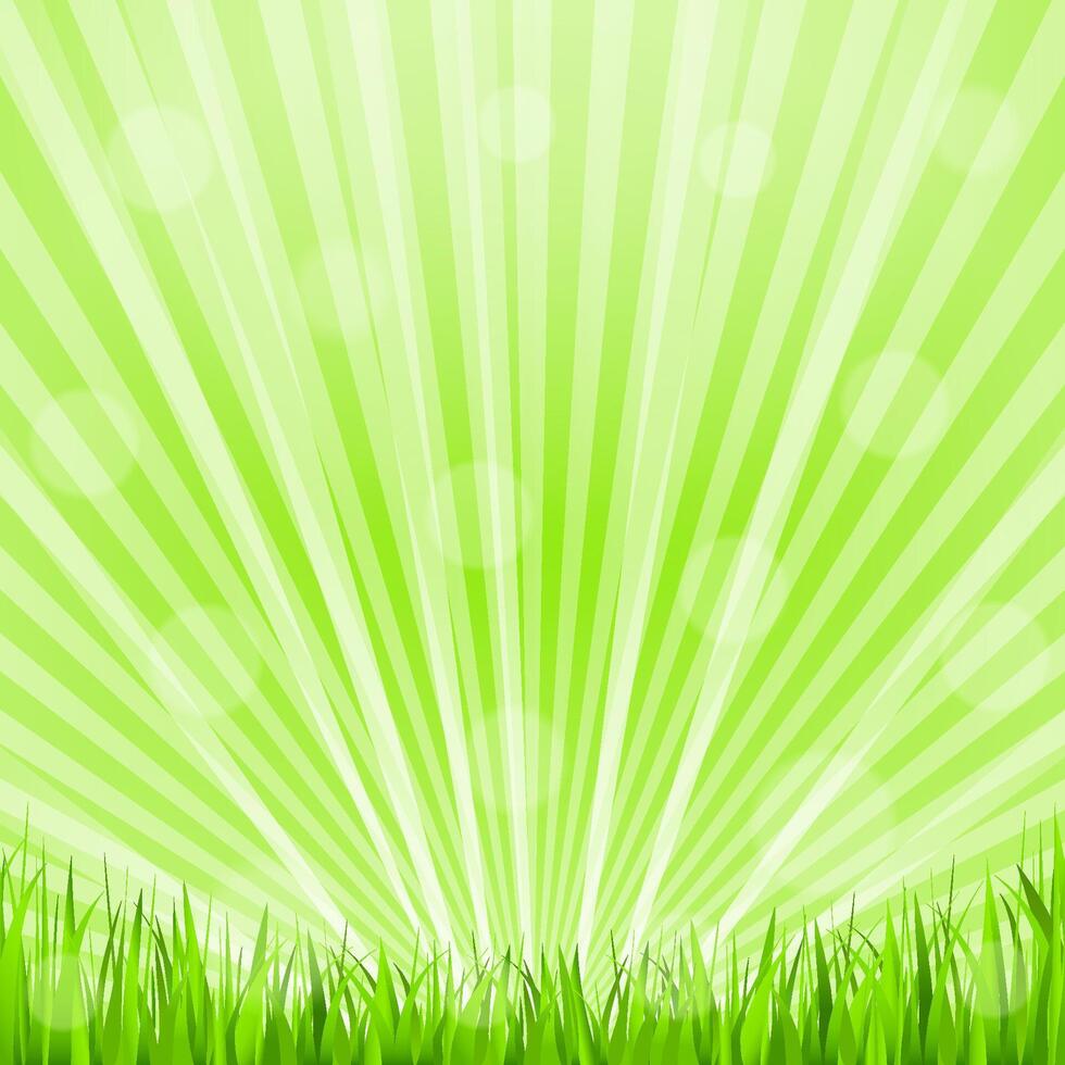 Abstract green background with grass vector