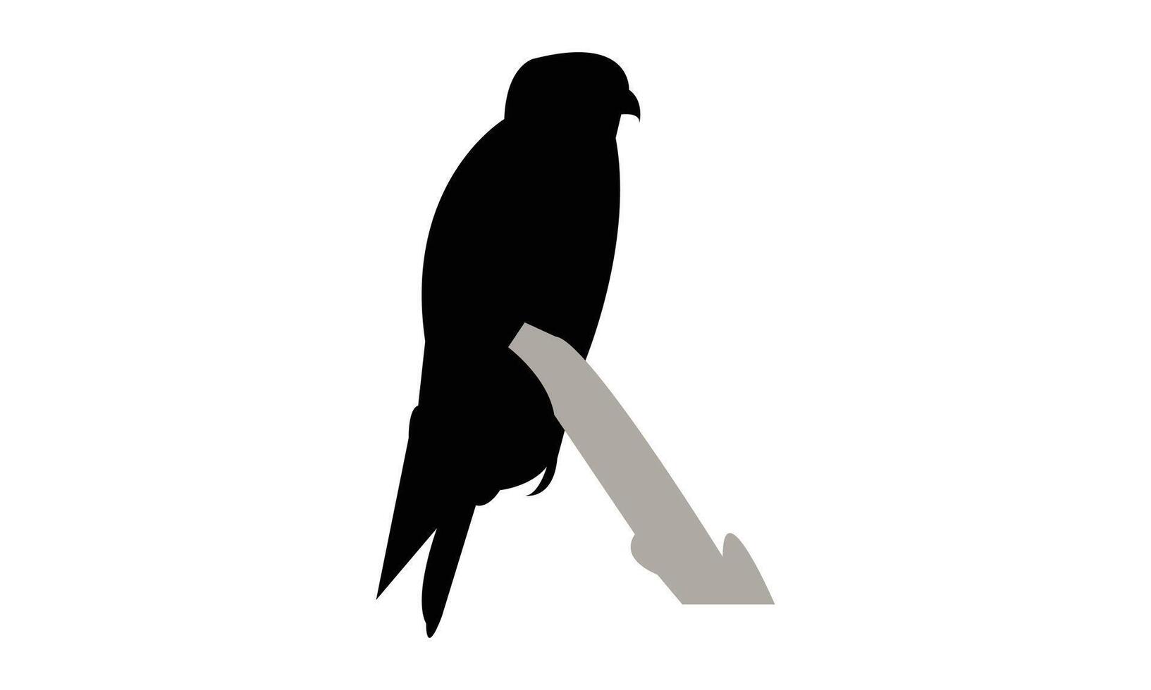 African hobby bird Silhouette vector