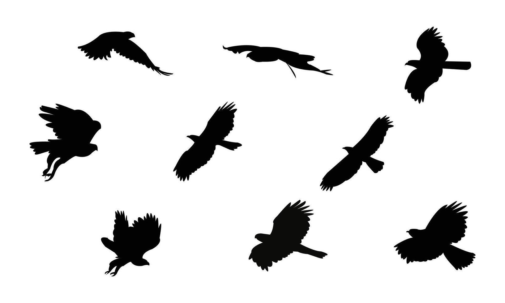 Flying African hawk eagle bird Silhouette Collection vector