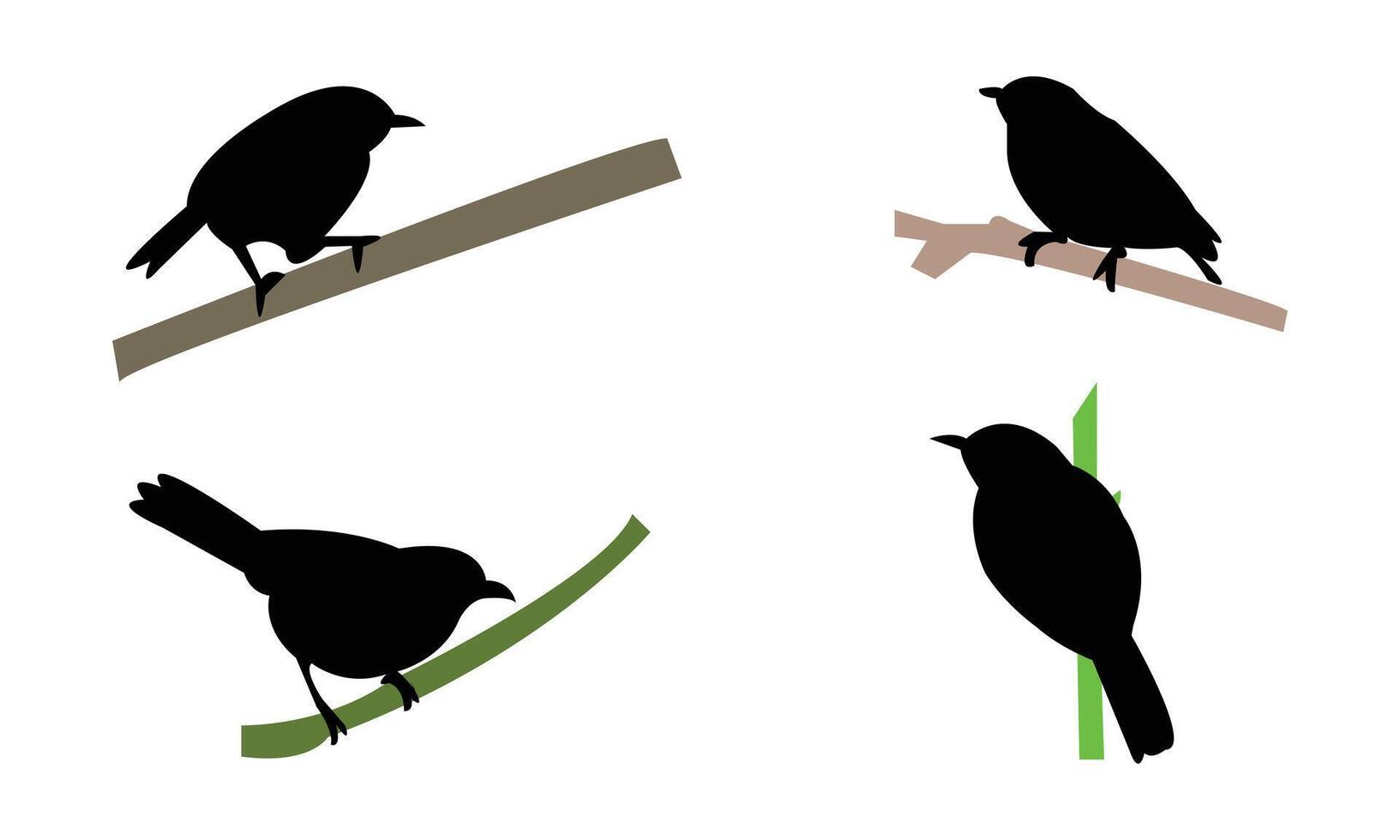 African hill babbler bird Silhouette Collection vector