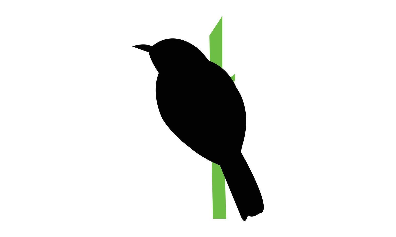 African hill babbler bird Silhouette Design vector