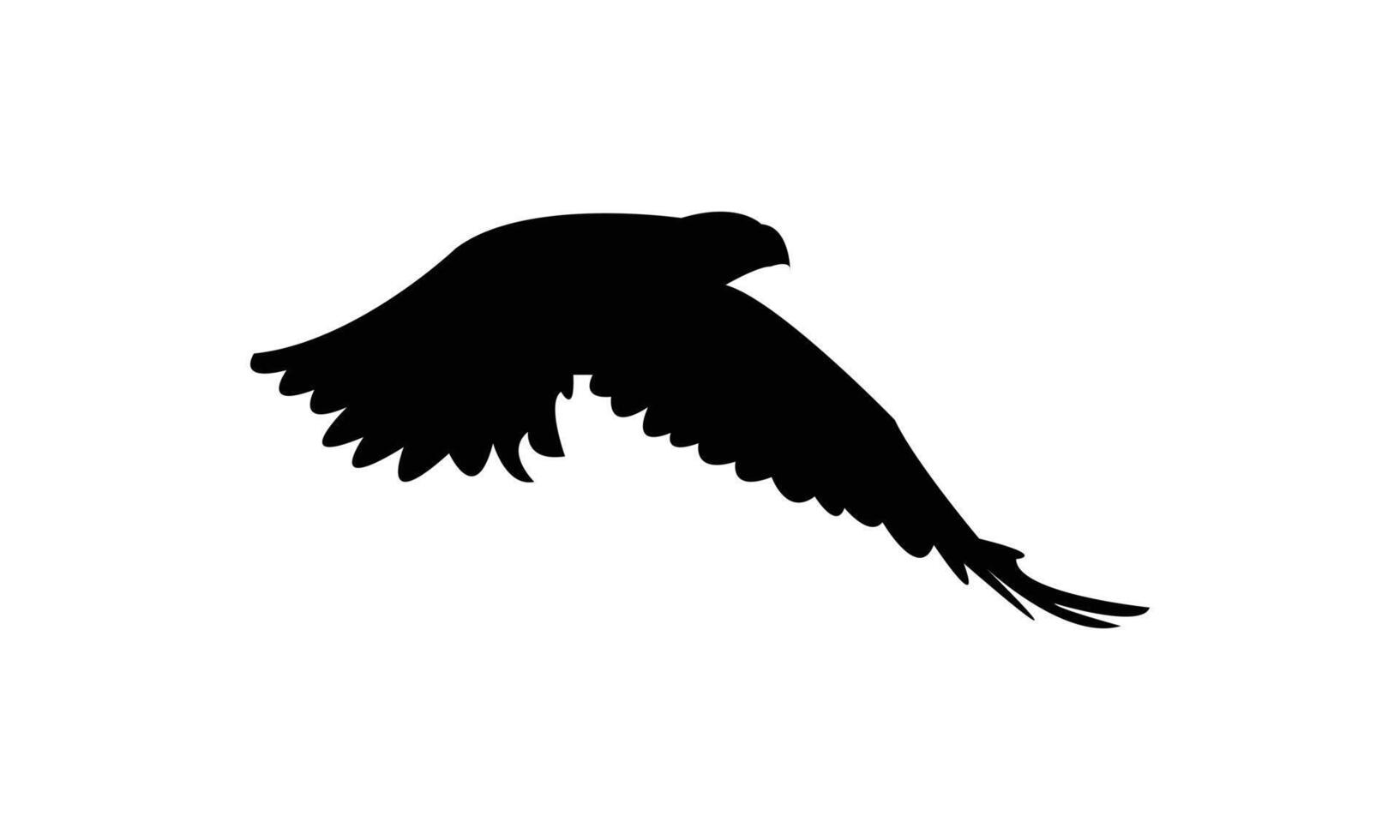 Flying African hawk eagle bird black Silhouette Design And Illustration. vector