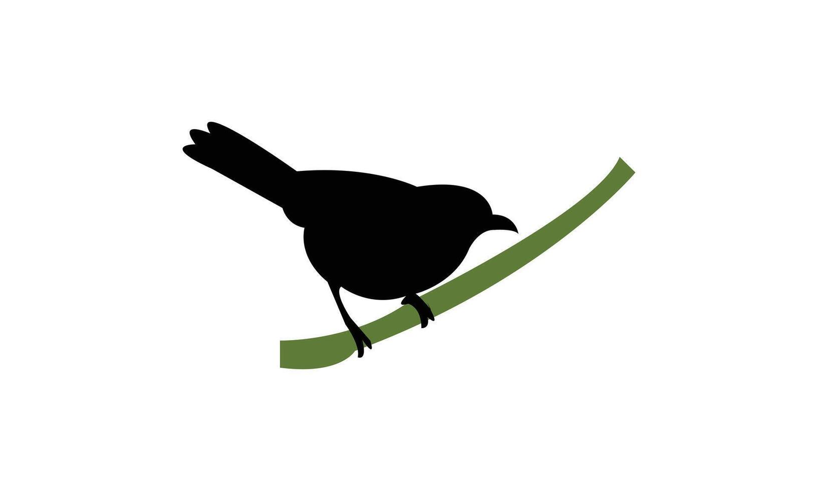 African hill babbler bird Silhouette Design And Illustration. vector