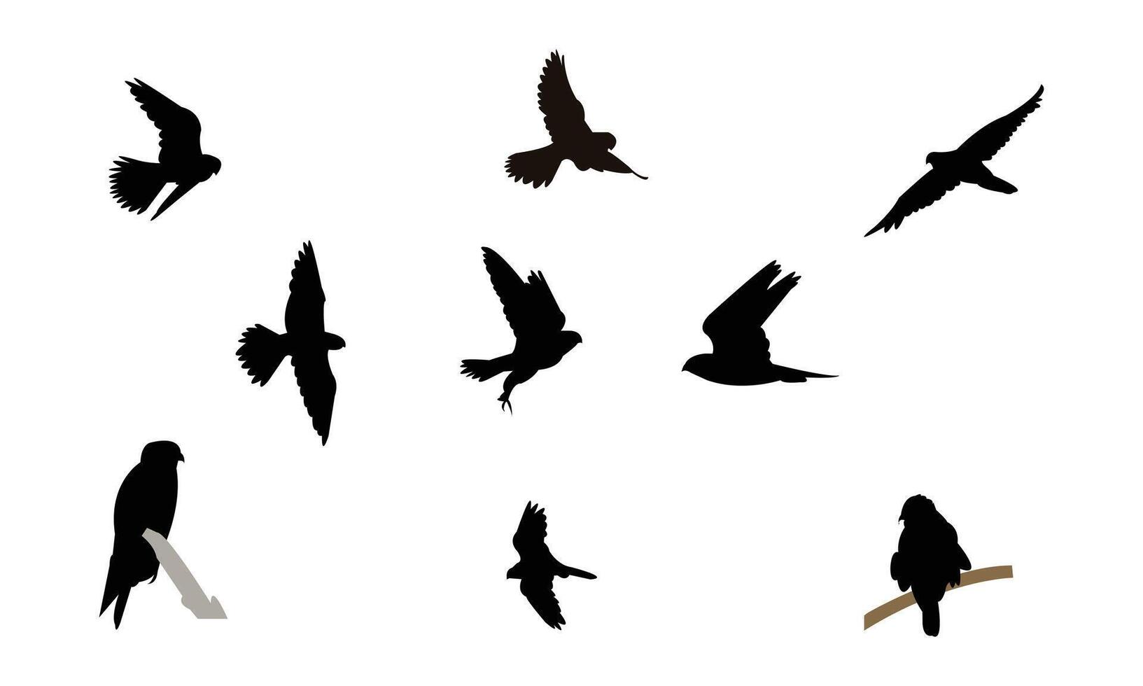 African hobby bird Silhouette Collection vector
