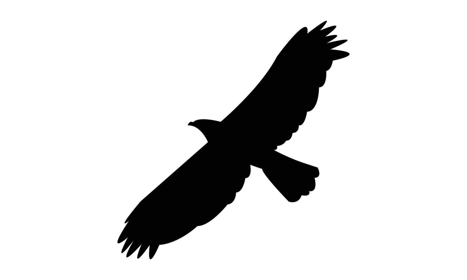 Flying African hawk eagle black Silhouette Design And Illustration. vector