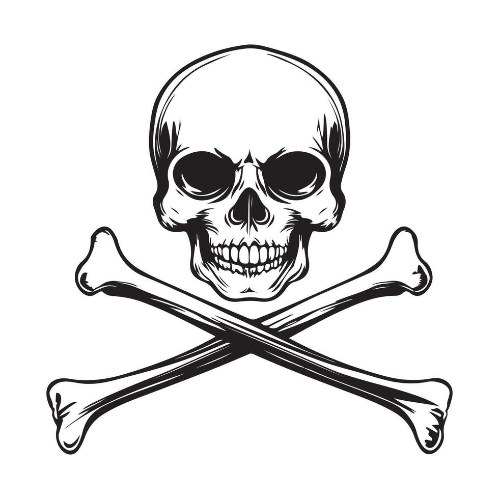 Skull and Crossbones image. Skull and Crossbones on white background vector