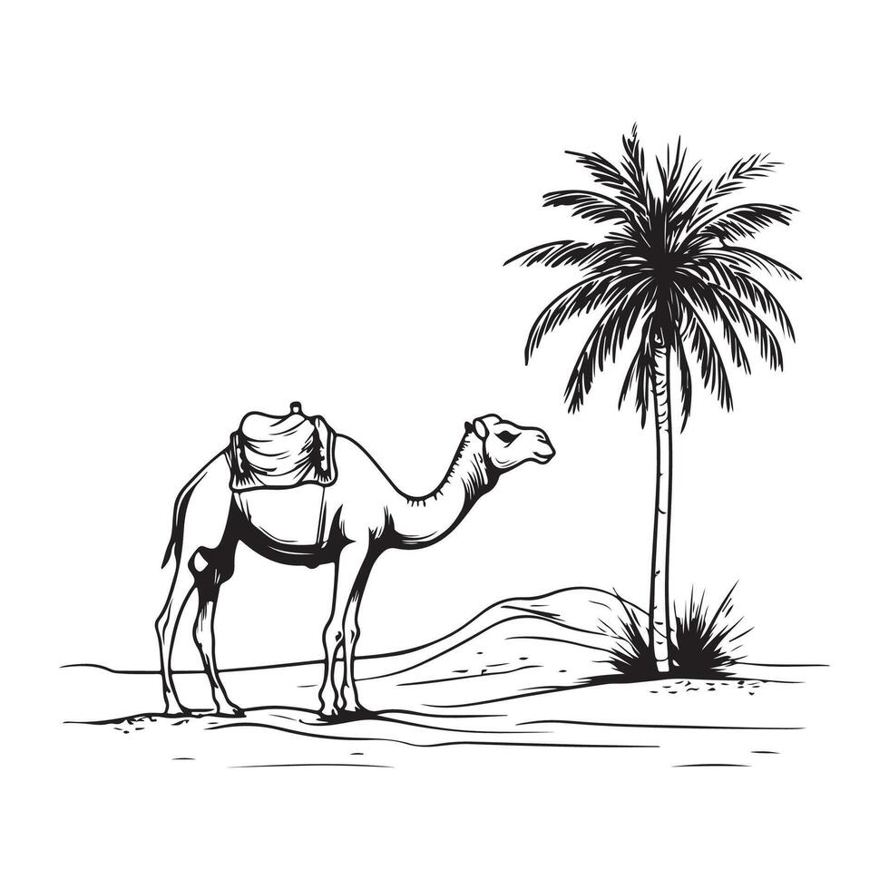 A Camel Standing in the Middle of a Vast Desert Landscape Illustration Design image vector