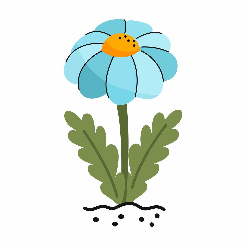 blue daisy on white background. Cartoon style illustration. postcard design element. vector