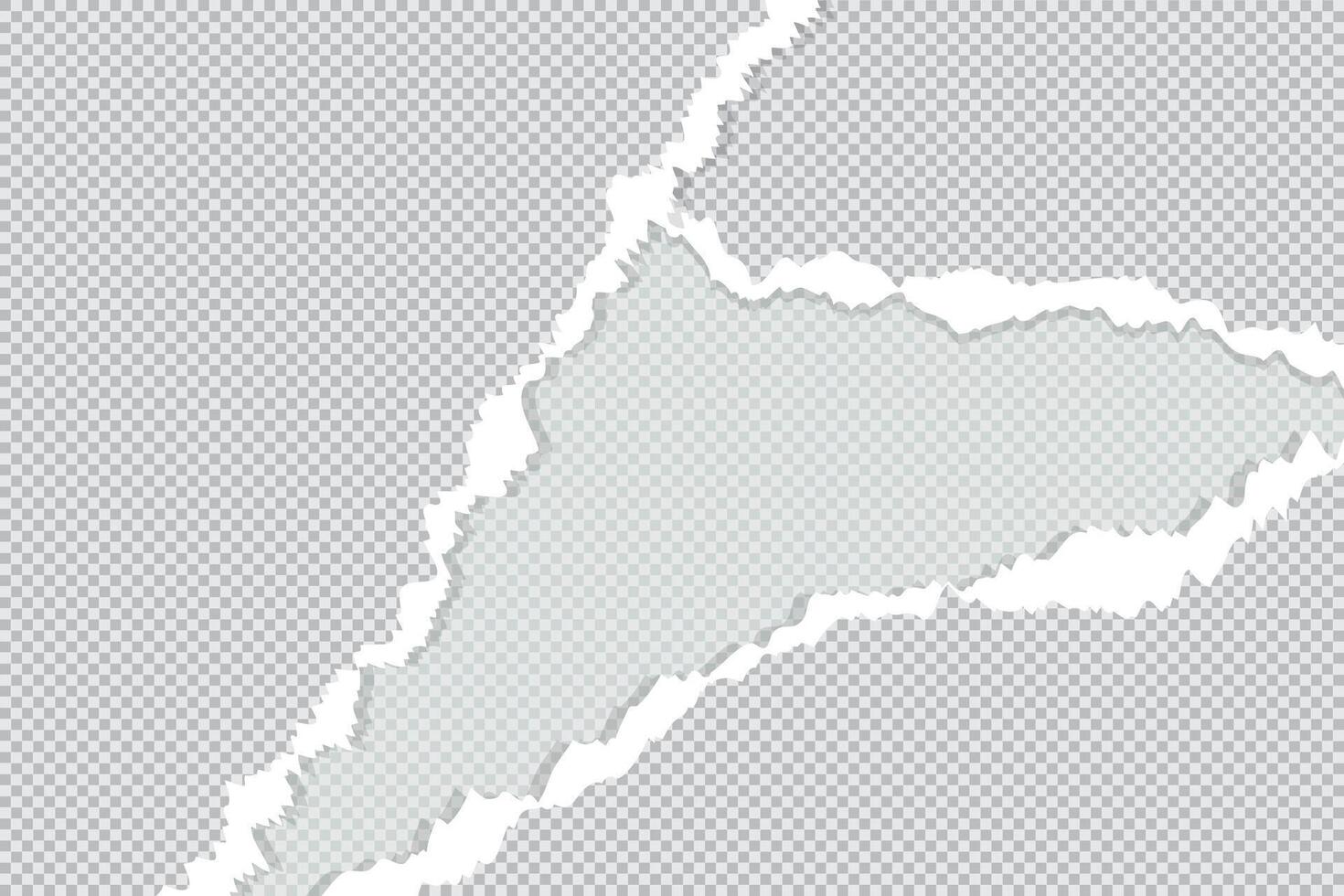 long shadow, flat design, ripped torn paper sheet edge on a blank background with a curled page, and a Chile map for design vector