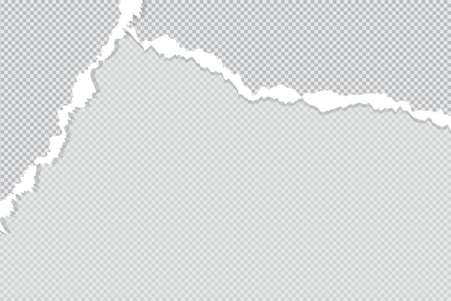 The edge of a torn paper sheet with a curled page on a blank background vector