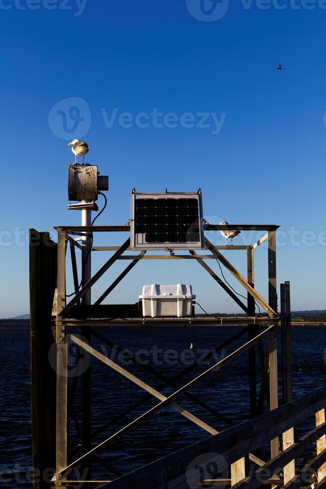 Solar Panel And Seagulls On Navigational Sign Platform photo