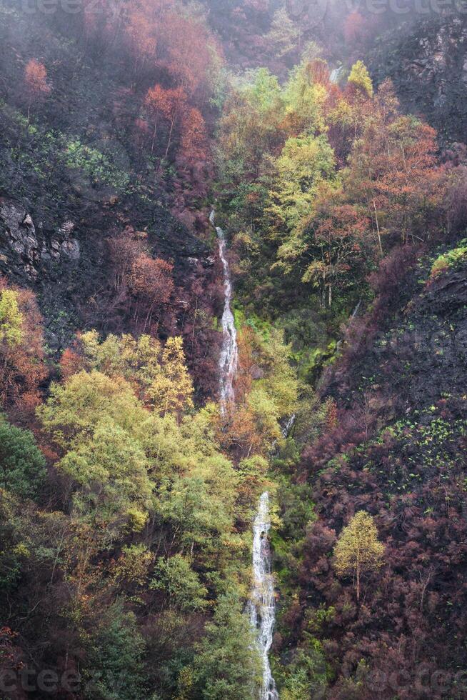 On the sides of a waterfall the landscape burned by summer forest fires is greening photo