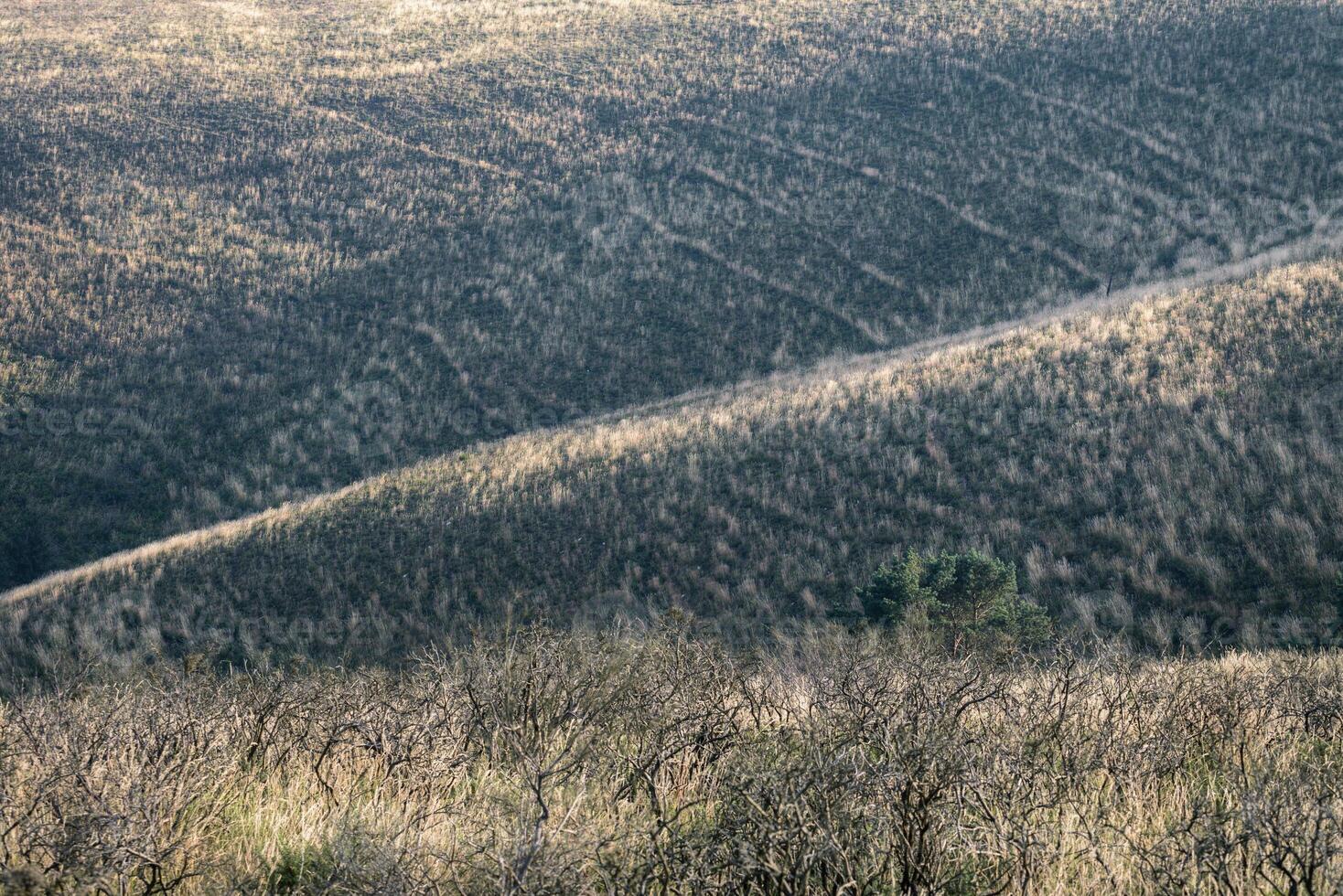 Austere hills of short grass and low bushes photo