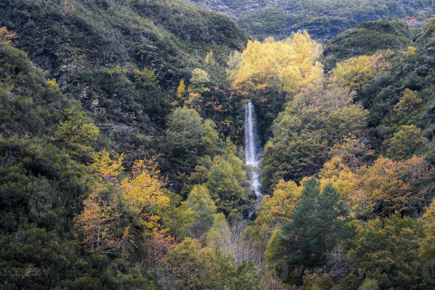 Waterfall with vertical fall of water between autumn forests photo