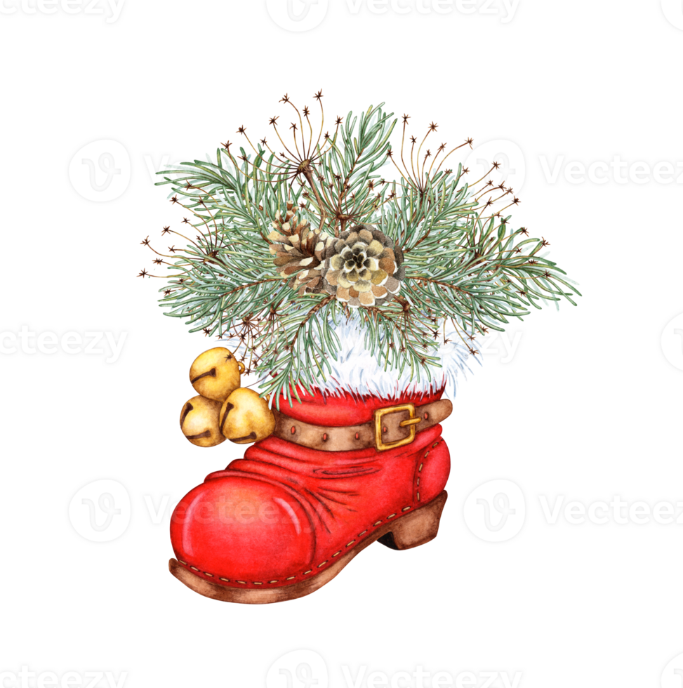 Red Santa shoe, with fir branches, grass, pine cones watercolor illustration, isolated from background. A symbol of the Christmas holiday, a traditional element of New Year's costume of Santa Claus. png