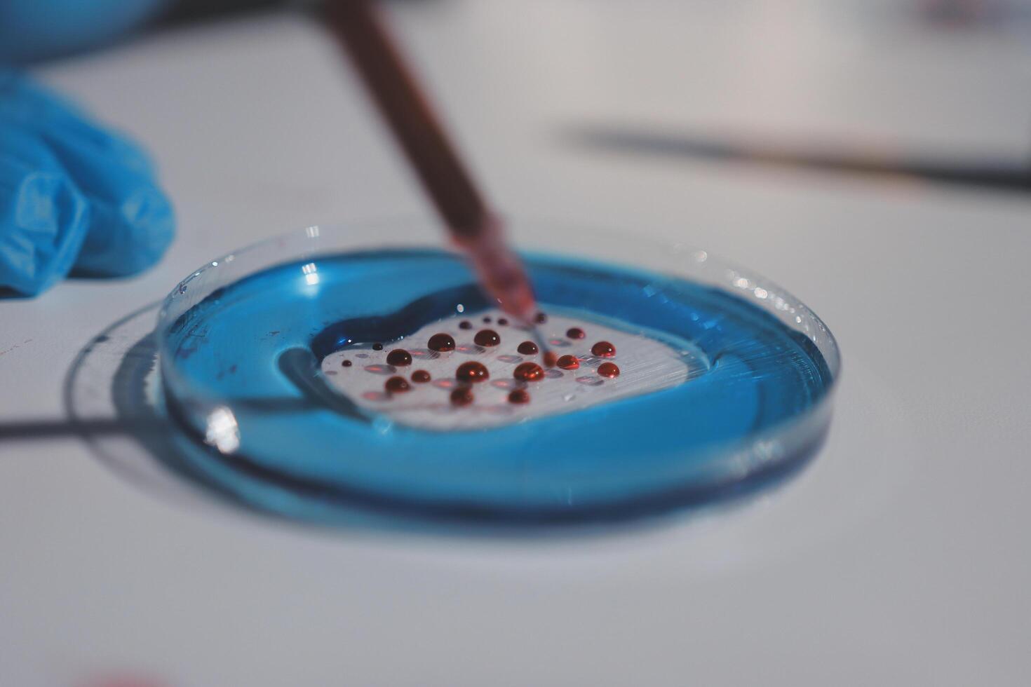 A person holding a small piece of red liquid in a petri dish photo