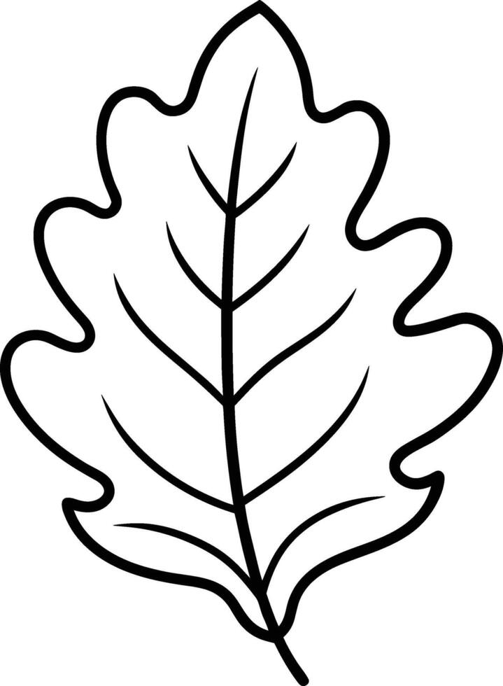 Minimalist Oak Leaf Outline - Autumn and Fall Illustration vector