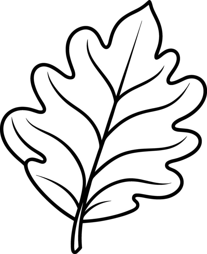 Elegant Oak Leaf Outline - Autumn and Fall Illustration vector