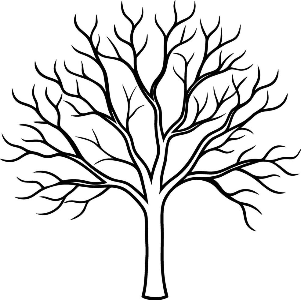 Bare Tree - Elegant Autumn and Fall Line Art vector
