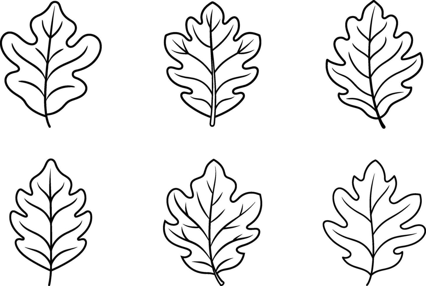 Set of Oak Leaf Outlines - Minimalist Autumn Fall Illustration vector